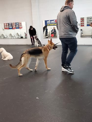 Dog day care center Family Dog Training Center Kent