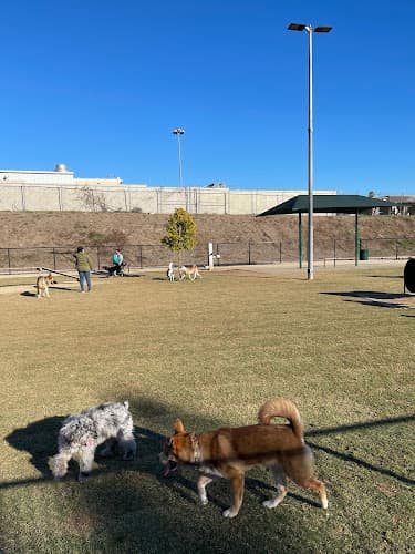 Dog day care center Fletcher Fetch Park El Monte