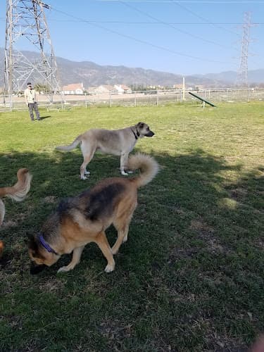 Dog day care center Fontana Dog Park Fontana