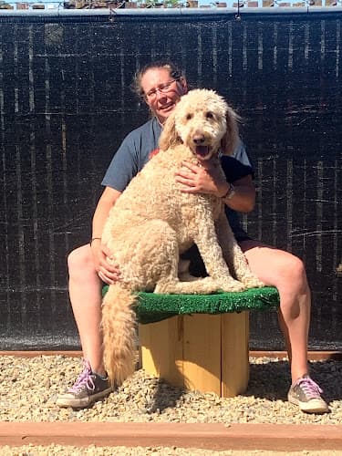 Dog day care center For Wags N Wiggles Doggie Daycare and Boarding Modesto