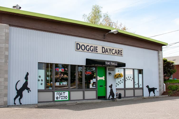Dog day care center Fort Fido Kent