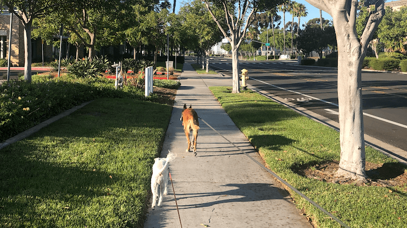 Dog day care center Four Paws Down Dog Boarding Chula Vista