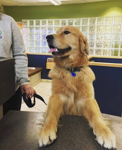 Dog day care center Frontier Veterinary Hospital Hillsboro