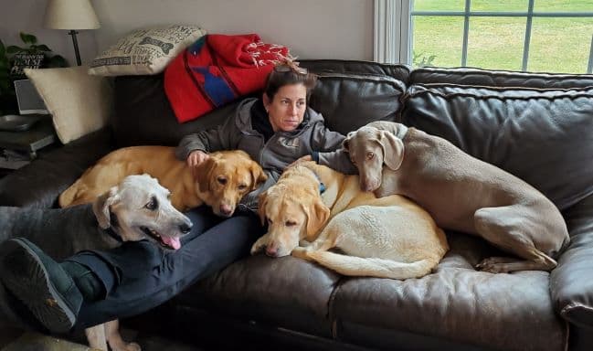 Dog day care center Fur Baby Babysitting El Monte