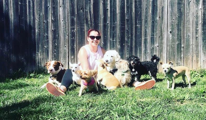 Dog day care center Geo and Fido's Doggy Daycare Sacramento