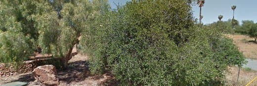 Dog day care center Get Pawsitive Dog Training Vista