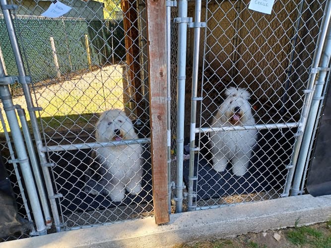 Dog day care center Gillshire Kennels Inc Tacoma