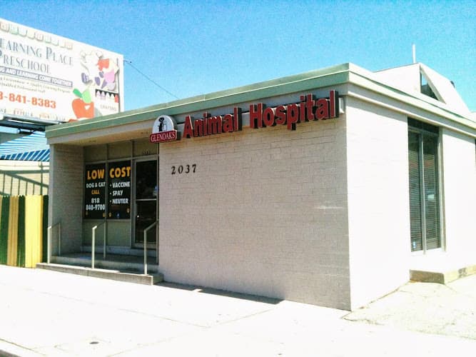 Dog day care center Glenoaks Animal Hospital Glendale