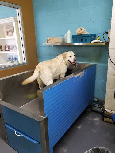 Dog day care center Go Go Spa Self-Serve Dog Wash El Monte