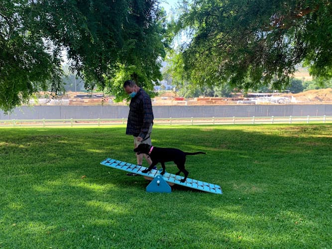 Dog day care center Good Dog K9 Training and Services , LLC Burbank
