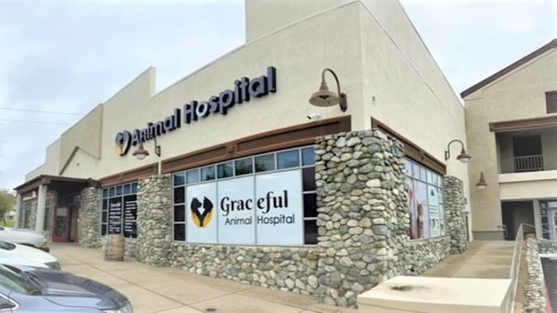 Dog day care center Graceful Animal Hospital Rancho Cucamonga