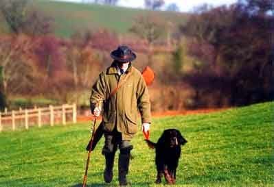 Dog day care center Green Acres K9 Resort Portland