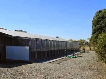 Dog day care center Happy Paws Kennels, Inc. Sacramento