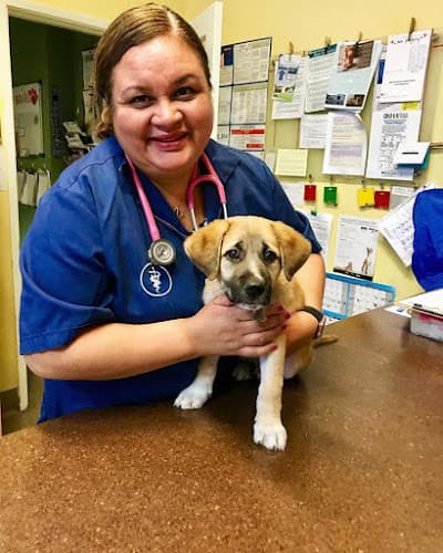 Dog day care center Happy Pets Veterinary Center Santa Clarita