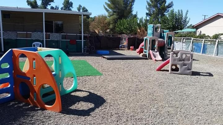 Dog day care center Happy Puppy Paradise Riverside
