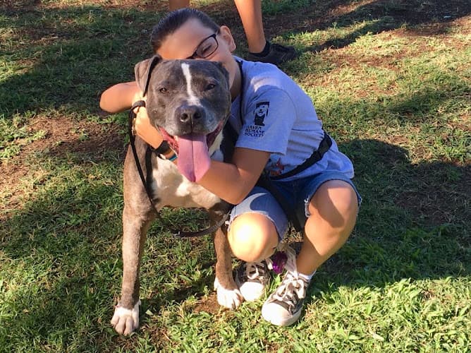 Dog day care center Haven Humane Society Redding