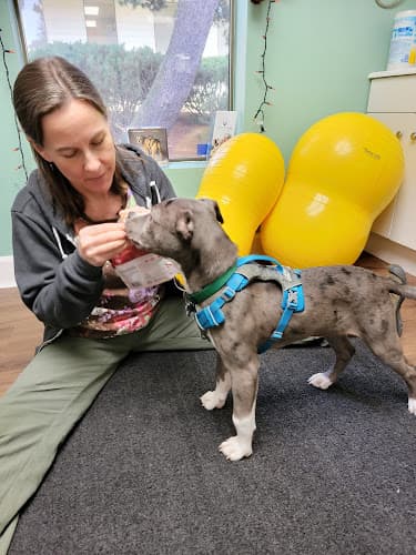 Dog day care center Healing Arts Animal Care Beaverton