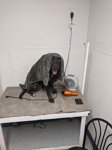 Dog day care center Holistic Gold Pet Nutrition Center El Cajon