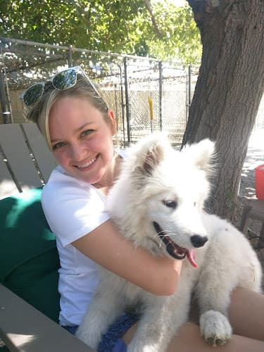 Dog day care center Hollywood Dog Training School Burbank