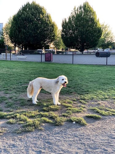 Dog day care center Hondo Dog Park Hillsboro