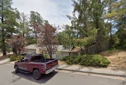 Dog day care center HOUND HOTEL Richmond