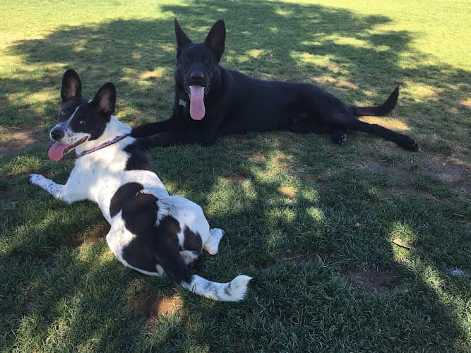 Dog day care center Hound Town Moreno Valley