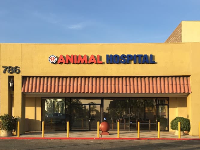 Dog day care center Inland Central Animal Hospital Rialto