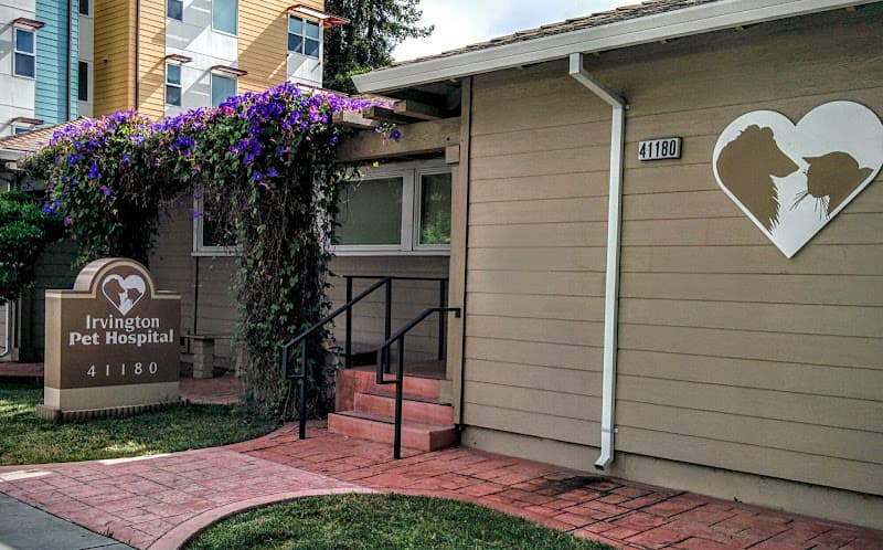 Dog day care center Irvington Pet Hospital Fremont