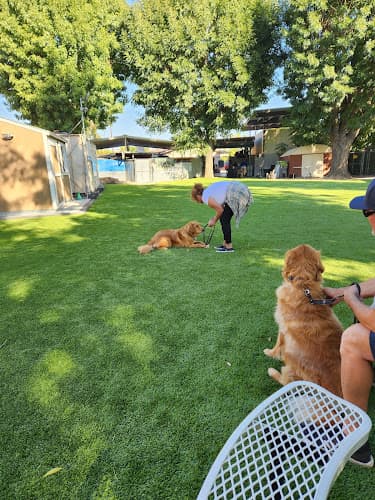Dog day care center It's A Dog's World K-9 Academy, Inc. San Bernardino