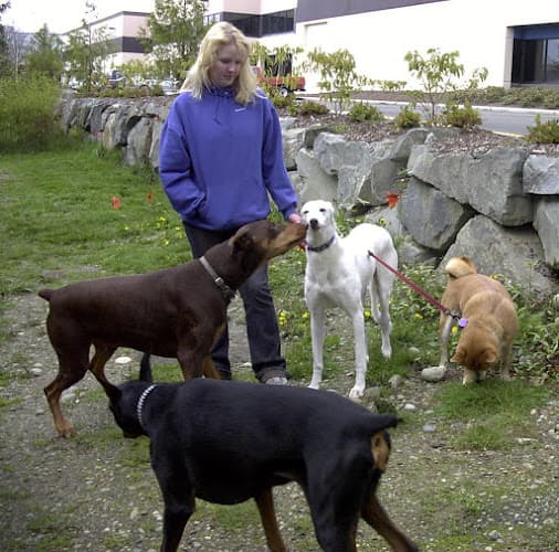 Dog day care center Janice's Critter Care Federal Way