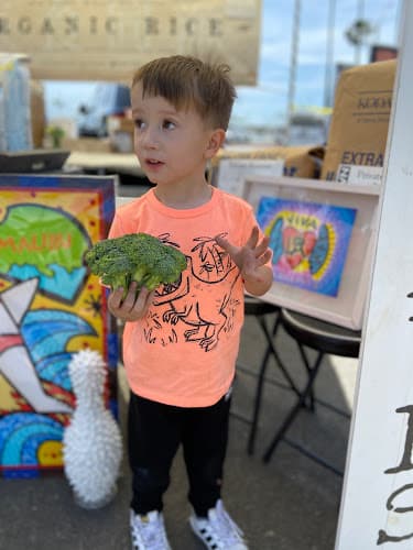 Dog day care center Janis Family Day Care Rialto