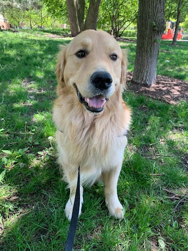 Dog day care center Jan's Pet Sitting San Mateo