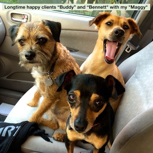 Dog day care center JOG-A-DOG Walking, Pet Sitting serving Arcadia, Monrovia, and more. El Monte