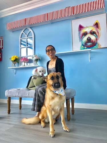 Dog day care center JOJO PET STATION El Monte