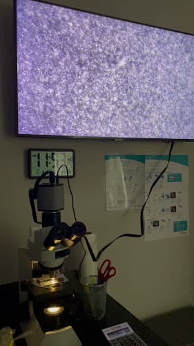 Dog day care center K9DC SOUTH SAN DIEGO Chula Vista