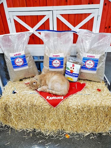 Dog day care center Kahoots Feed & Pet Hesperia