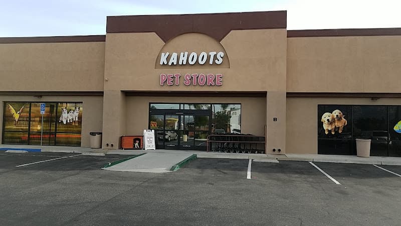 Dog day care center Kahoots Temecula
