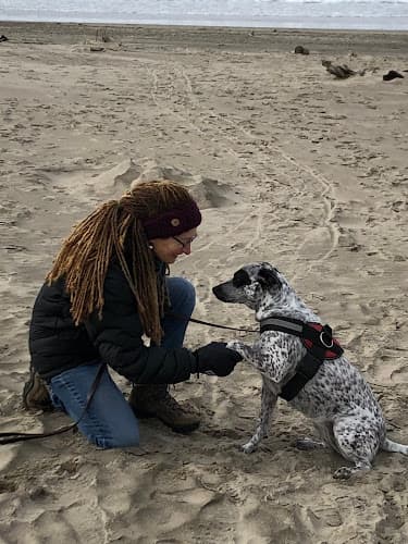 Dog day care center Katcandu and Woofgang LLC Portland