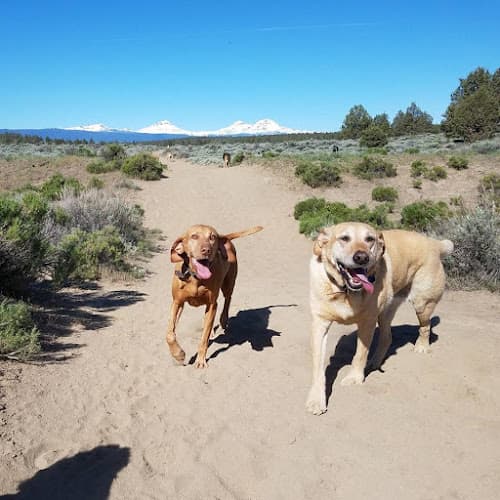 Dog day care center Kindred Spirit Pet Care Bend
