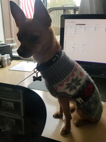 Dog day care center Kirin Kennels El Cajon