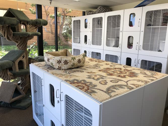 Dog day care center Kittyland Resort & Spa Oxnard