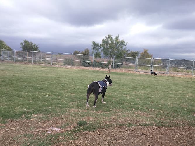 Dog day care center La Paws Dog Park Mission Viejo