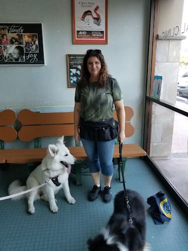 Dog day care center La Paz Animal Clinic Mission Viejo
