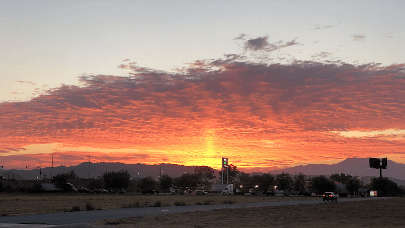Dog day care center Leashless Dog Training Temecula
