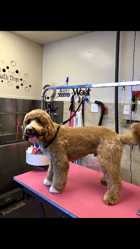 Dog day care center Liza's Doggy Day & Night Spa Spokane Valley
