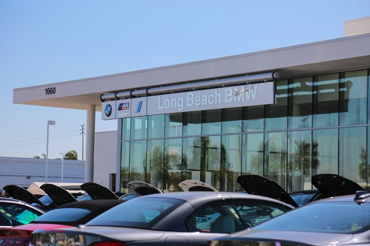 Dog day care center Long Beach BMW Service Center Long Beach