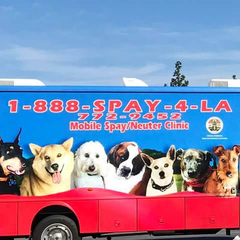 Dog day care center LOS ANGELES COUNTY ANIMAL SERVICES El Monte