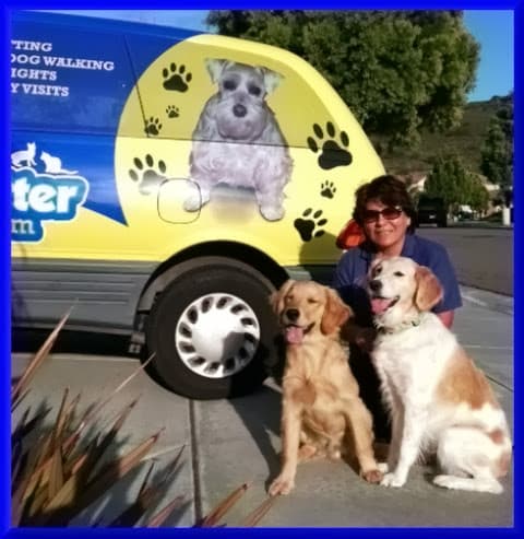 Dog day care center Lovable Pet Sitter & Dog Walker Santa Clara