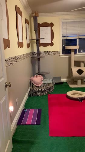 Dog day care center Lovingkindness Pet Care Temecula