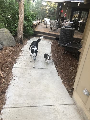 Dog day care center Lucky Dog Adventures Bend
